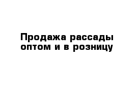 Продажа рассады оптом и в розницу